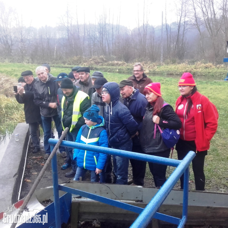 GRUDZIĄDZ - tutaj płynie dobra energia