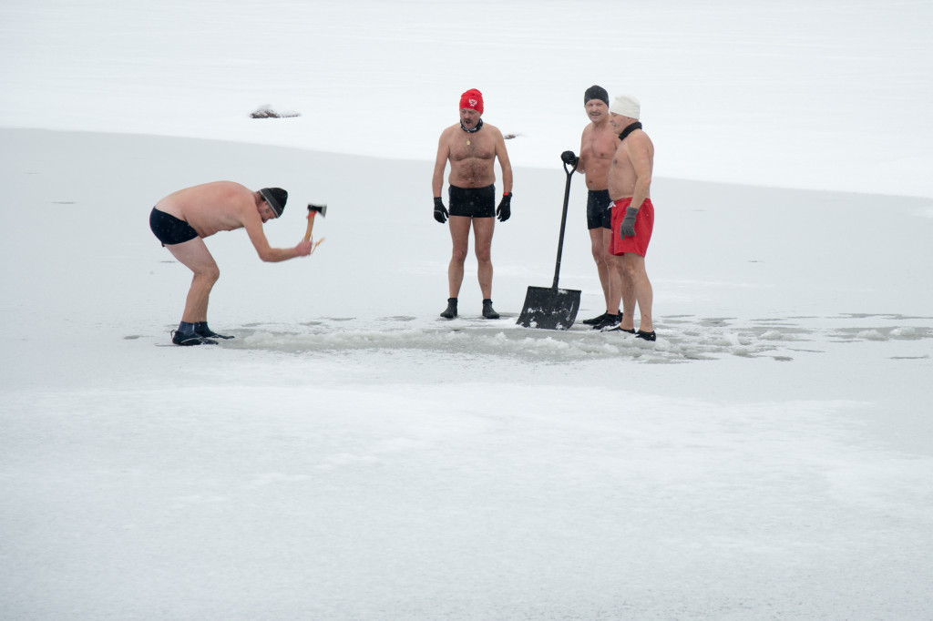 Morsujace Delfiny na plaży Jeziora Rudnik