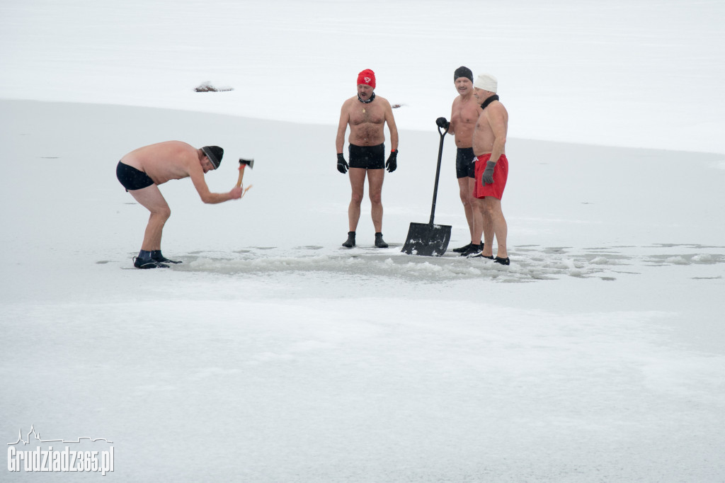 Morsujace Delfiny na plaży Jeziora Rudnik