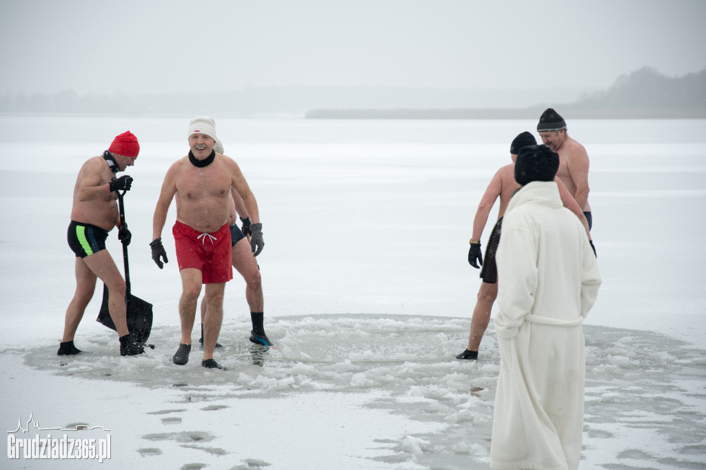 Morsujace Delfiny na plaży Jeziora Rudnik