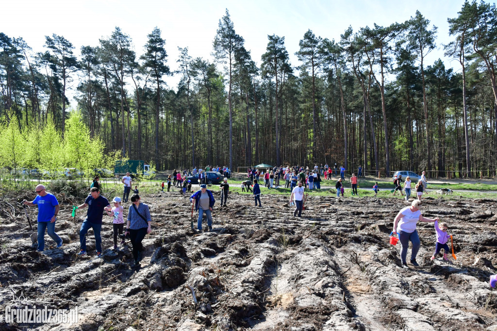 Grudziądzanie sadzą las - fotorelacja