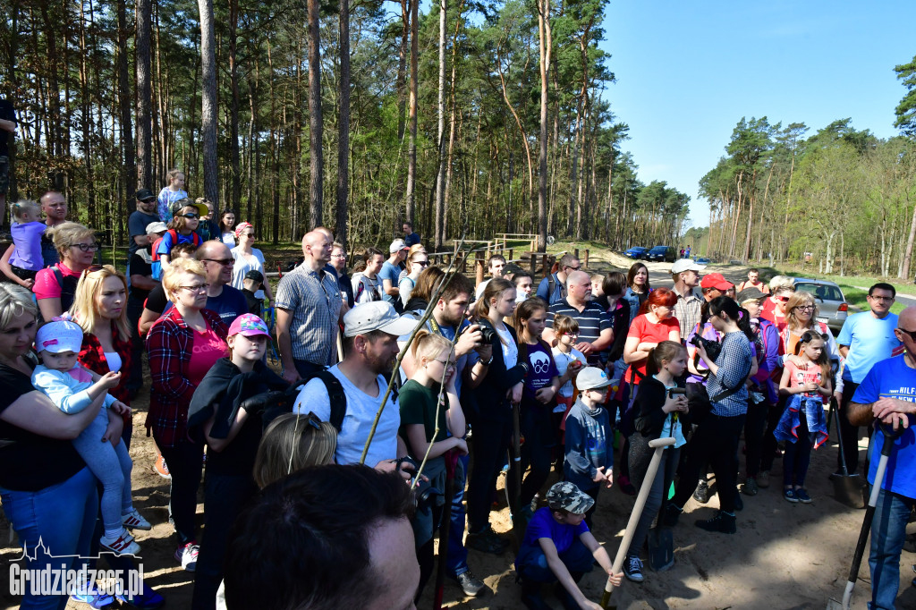 Grudziądzanie sadzą las - fotorelacja