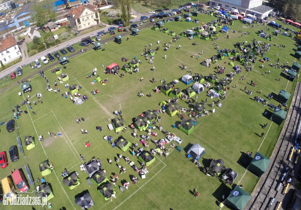 Wystawa psów rasowych - fotorelacja