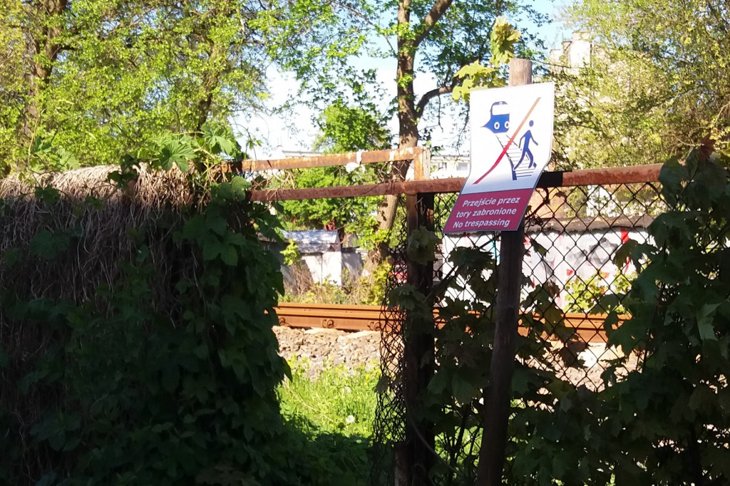 W Grudziądzu łatwiej postawić znak niż załatać dziurę...