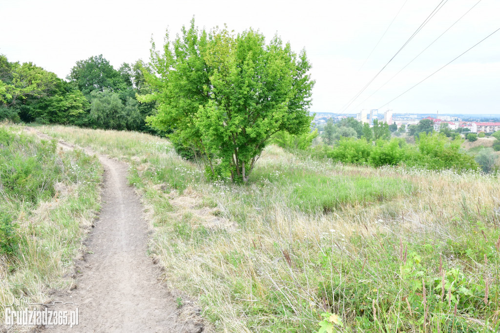 Ścieżka rowerowa niezgodna z projektem