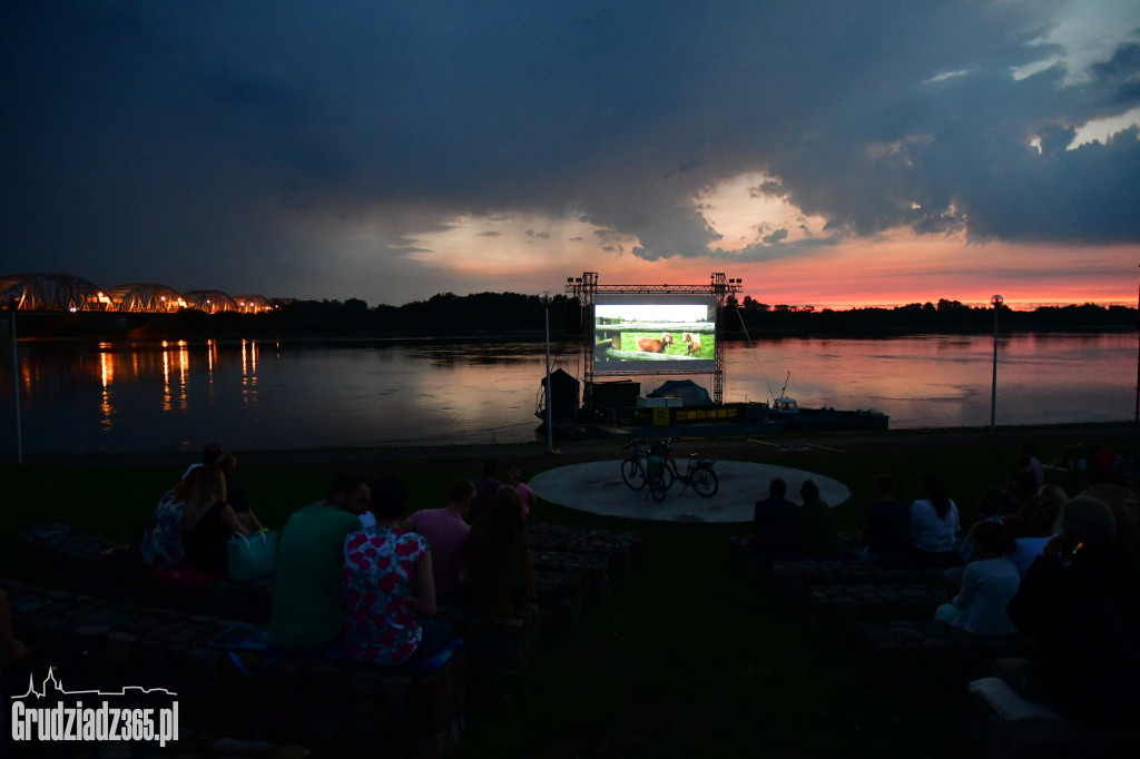 Kino Kraków Płynie - fotorelacja