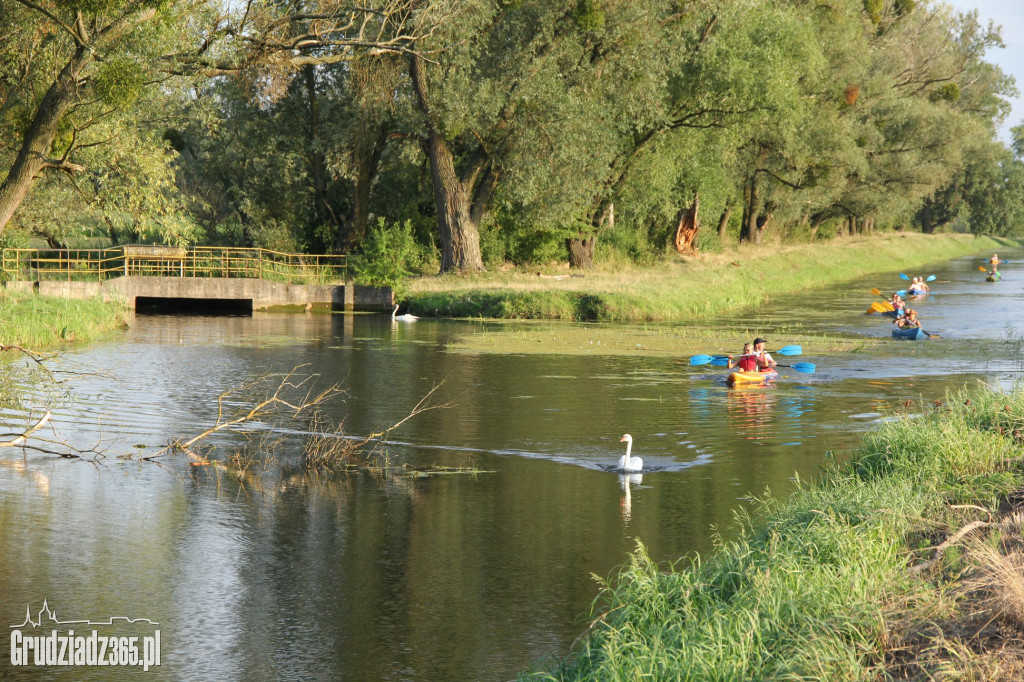 Spływ kajakowy Kanałem Starogrodzkim