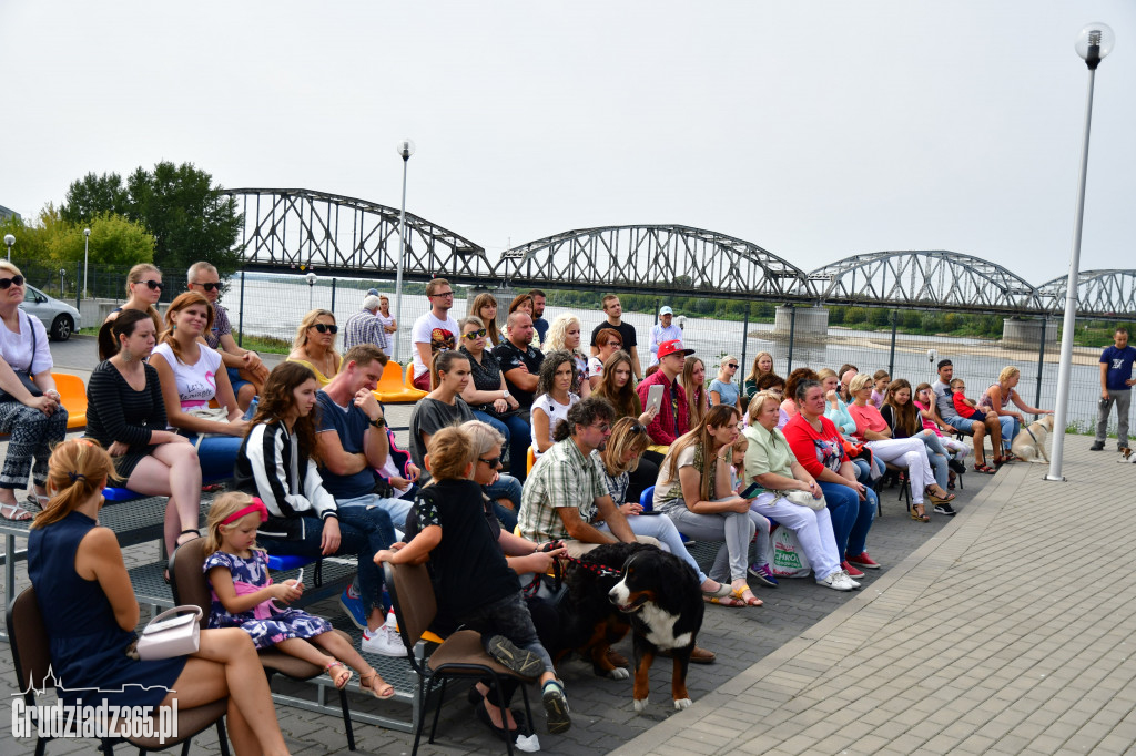 ABC pierwszej pomocy dla zwierząt