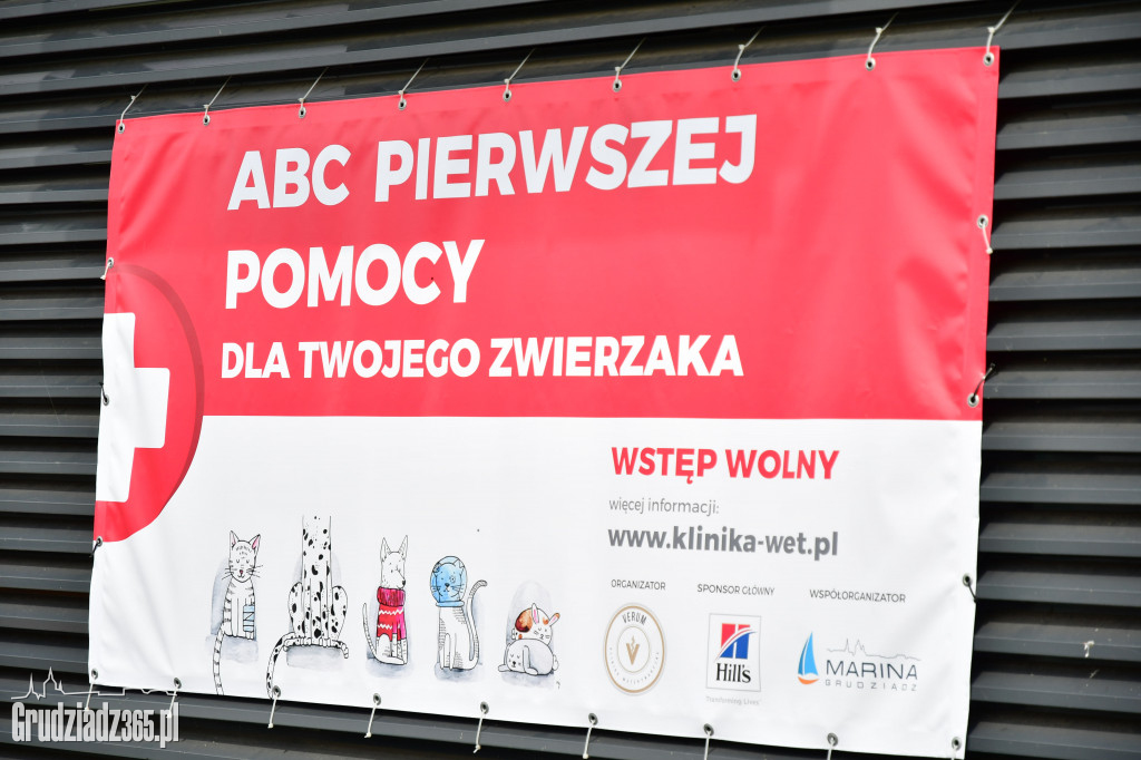 ABC pierwszej pomocy dla zwierząt