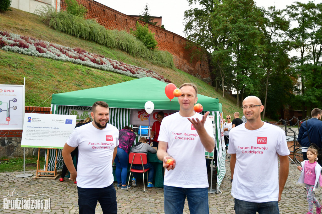 Grudziądz sprząta świat- fotorelacja