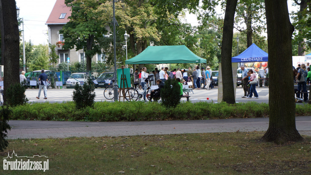 Święto Róży w parku miejskim- fotorelacja