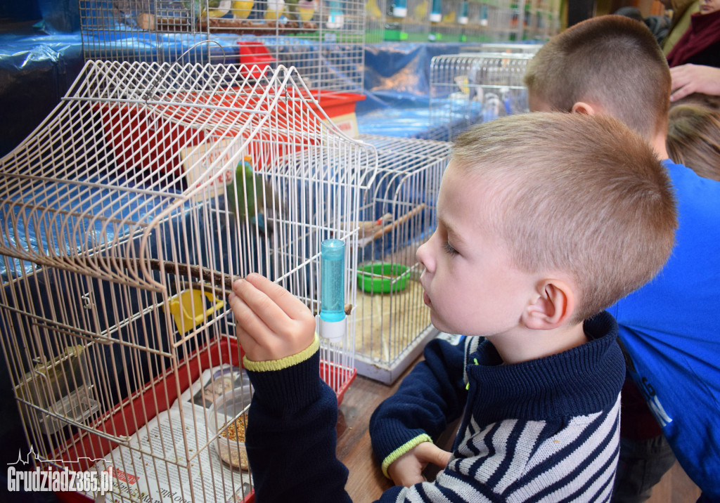 Wystawa ptaków egzotycznych