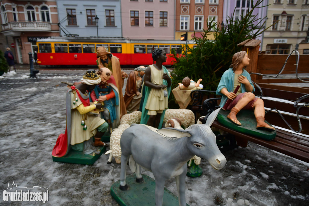 Rynek- Powstaje Szopka Bożonarodzeniowa
