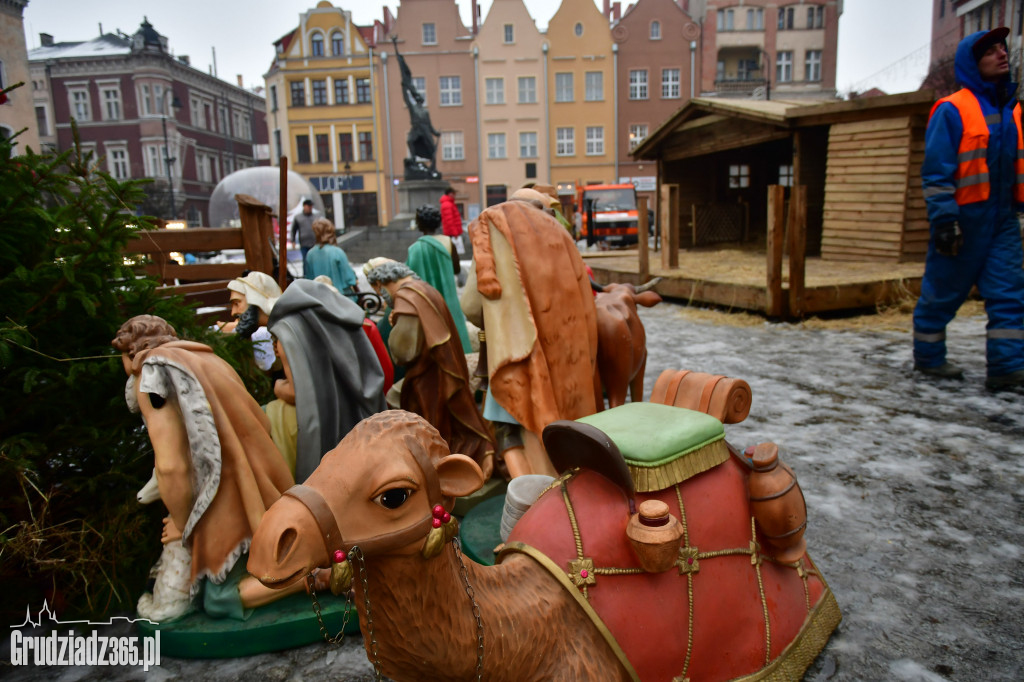 Rynek- Powstaje Szopka Bożonarodzeniowa