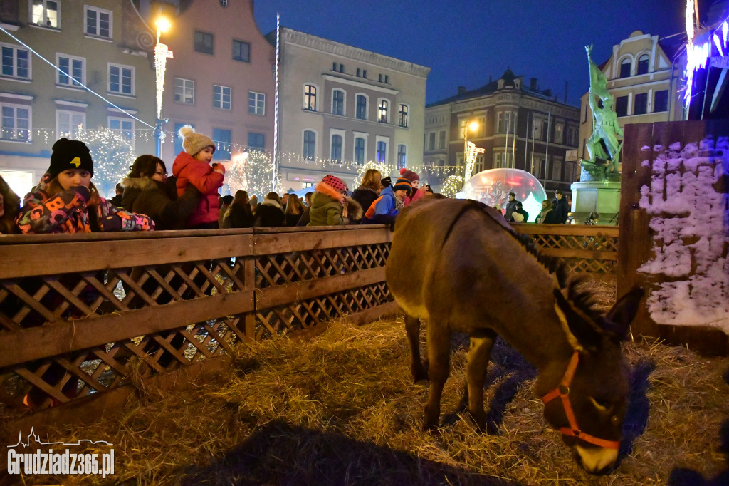 Światło z Betlejem w Grudziądzu- Fotorelacja