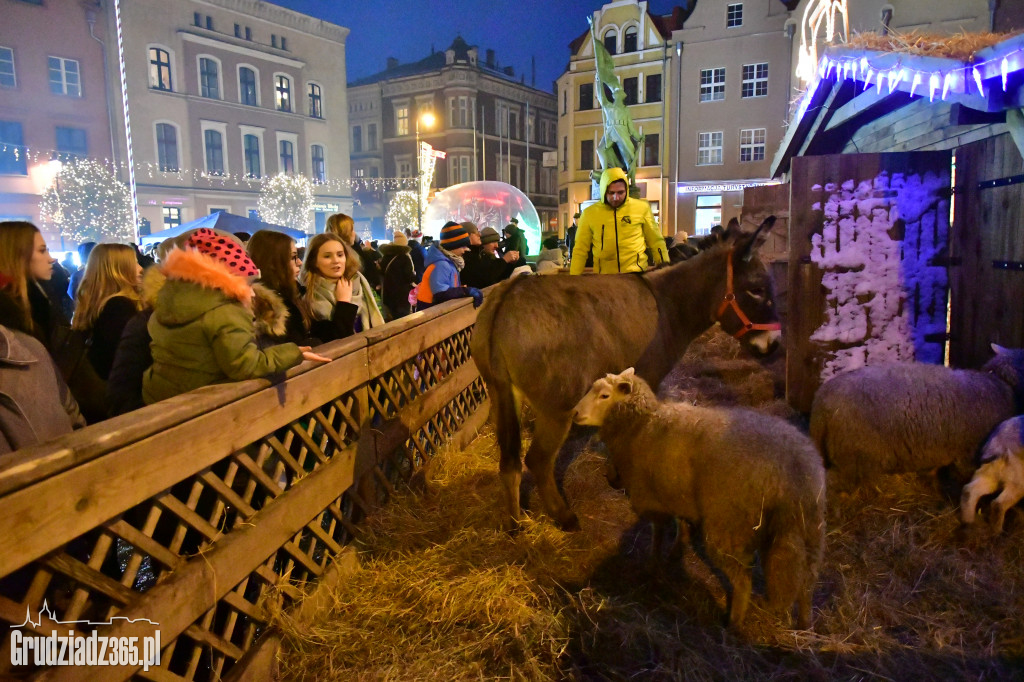 Światło z Betlejem w Grudziądzu- Fotorelacja