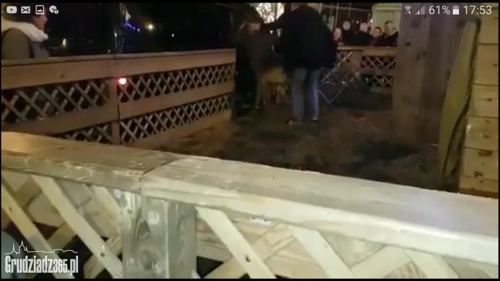 Osiołka z Rynku w Grudziądzu wywieziono