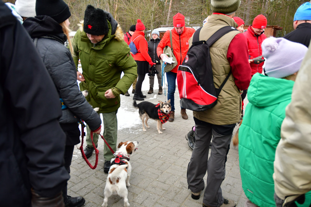 II Rudnicki Dogtrekking dla WOŚP- Fotorelacja