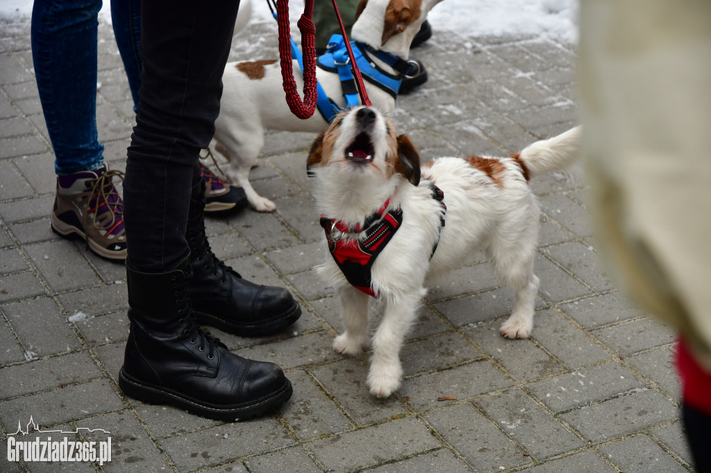 II Rudnicki Dogtrekking dla WOŚP- Fotorelacja