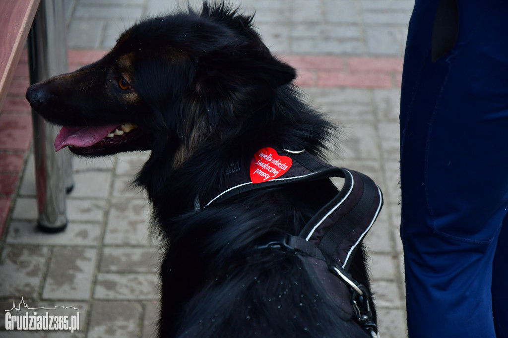II Rudnicki Dogtrekking dla WOŚP- Fotorelacja