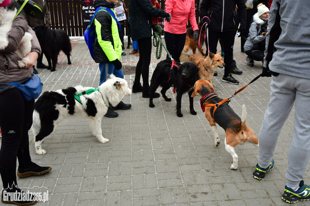 II Rudnicki Dogtrekking dla WOŚP- Fotorelacja
