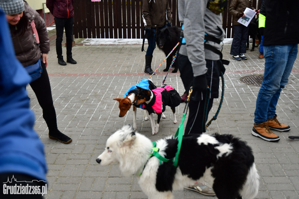 II Rudnicki Dogtrekking dla WOŚP- Fotorelacja