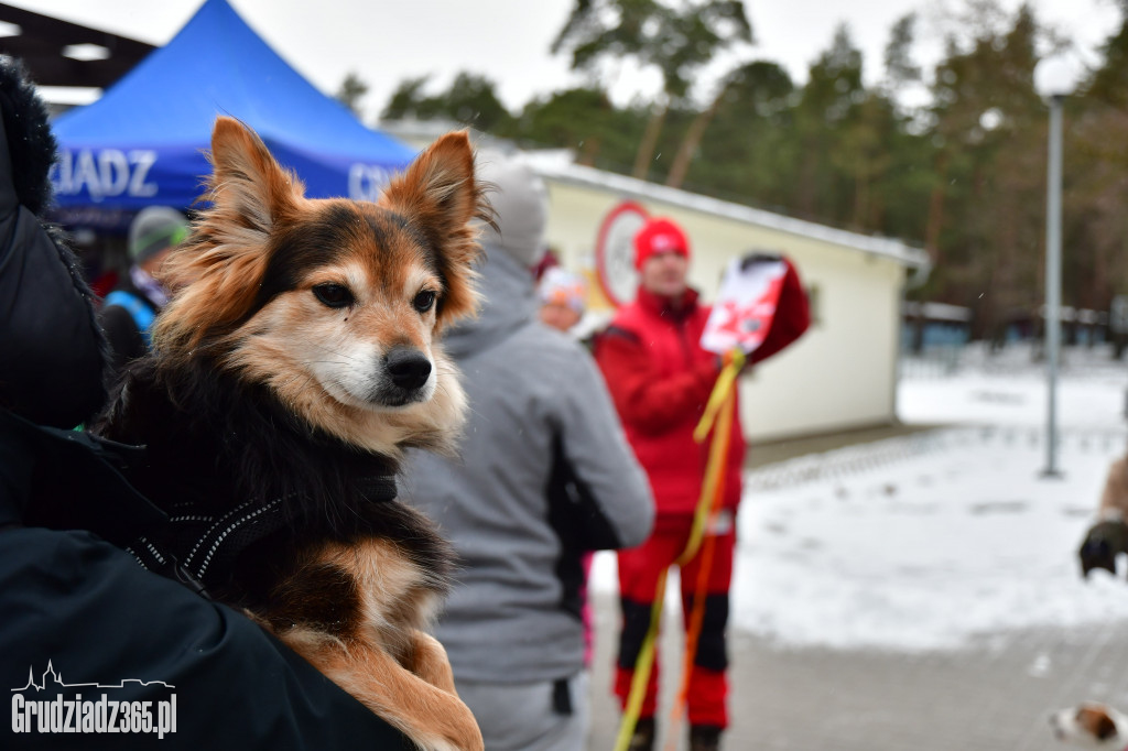 II Rudnicki Dogtrekking dla WOŚP- Fotorelacja