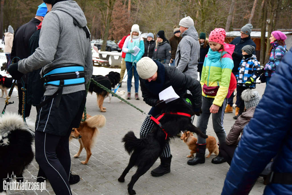 II Rudnicki Dogtrekking dla WOŚP- Fotorelacja