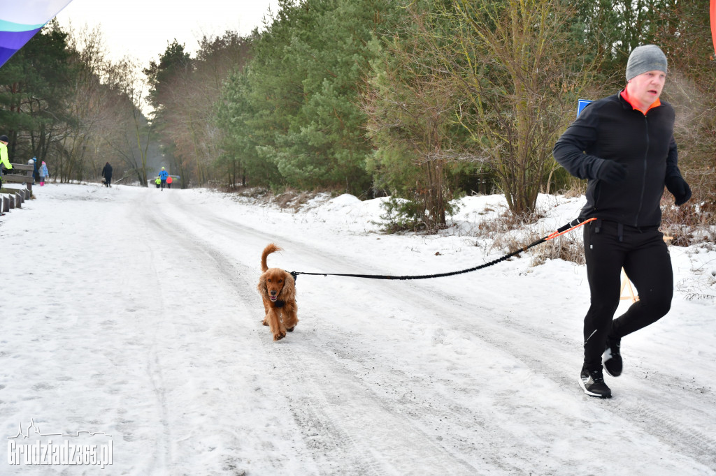 parkrun Grudziądz #17 dla WOŚP Policz się z cukrzycą