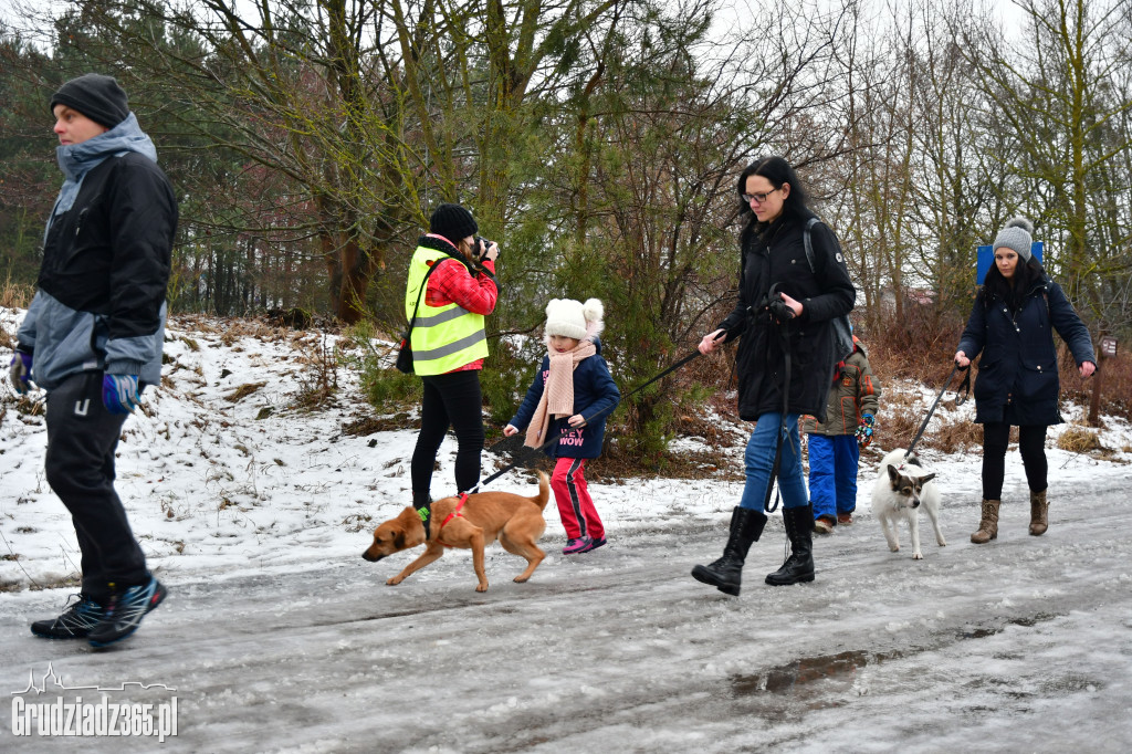 parkrun Grudziądz #20 - pieski parkrun