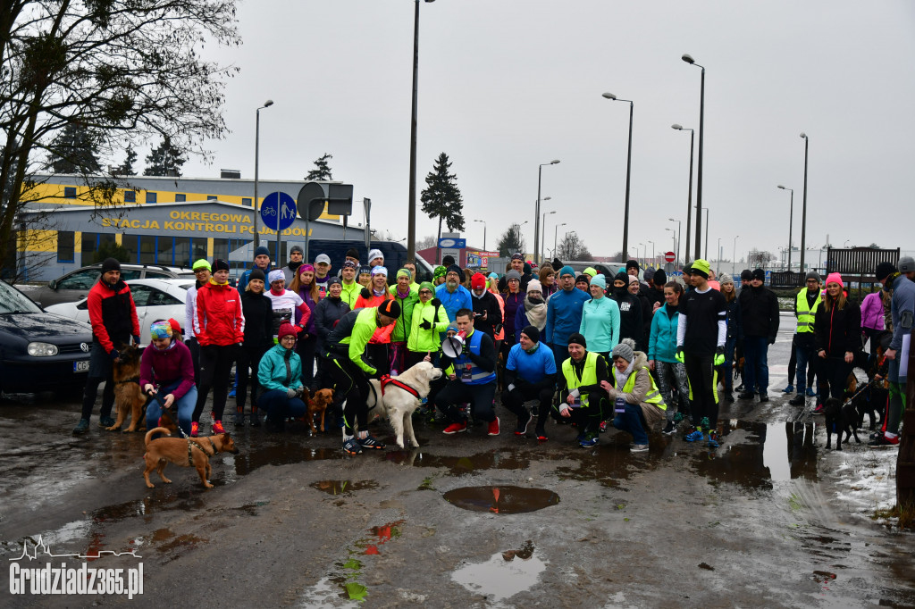 parkrun Grudziądz #20 - pieski parkrun