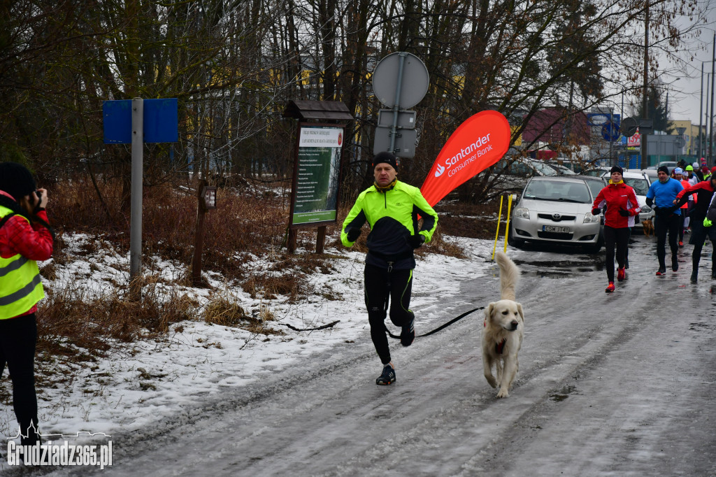 parkrun Grudziądz #20 - pieski parkrun