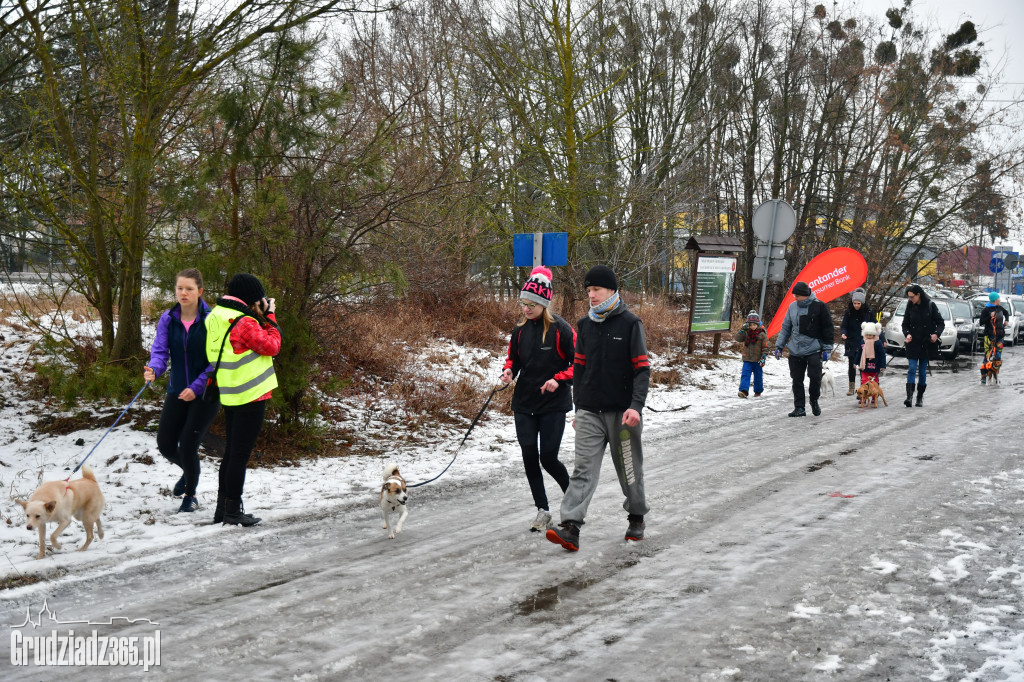 parkrun Grudziądz #20 - pieski parkrun