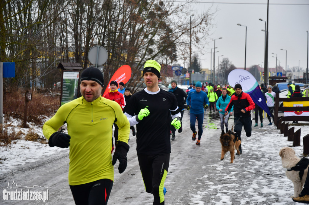 parkrun Grudziądz #20 - pieski parkrun