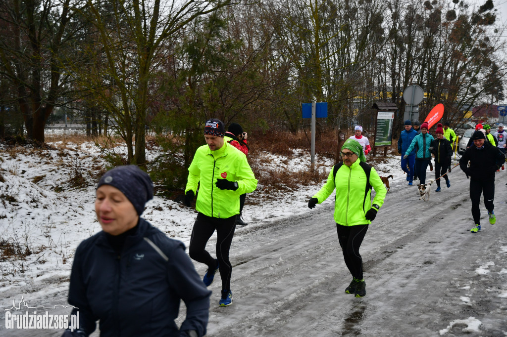 parkrun Grudziądz #20 - pieski parkrun