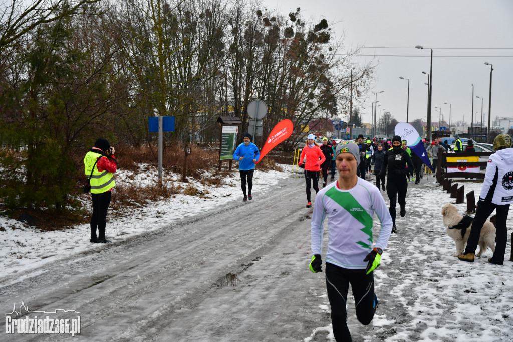 parkrun Grudziądz #20 - pieski parkrun