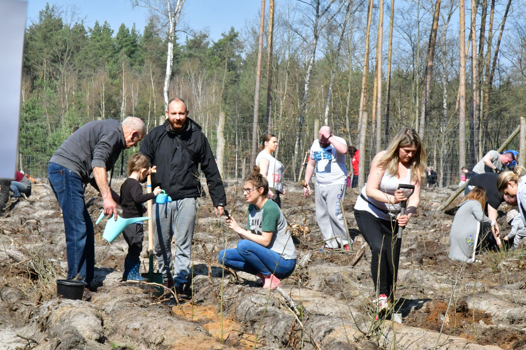 Grudziądzanie wpólne sadzą las- akcja CEE