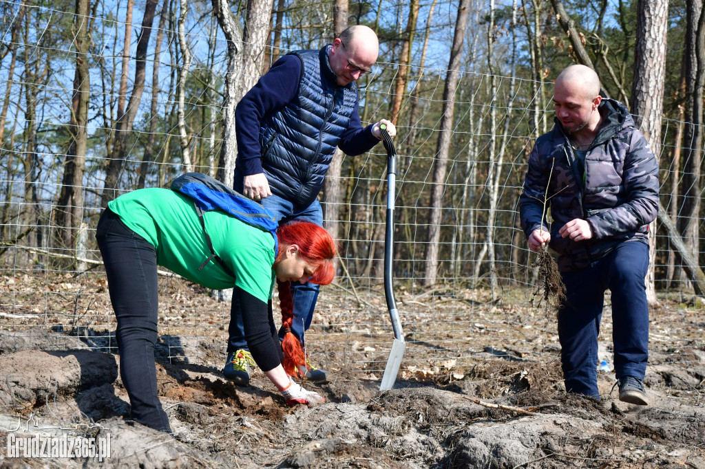 Grudziądzanie wpólne sadzą las- akcja CEE