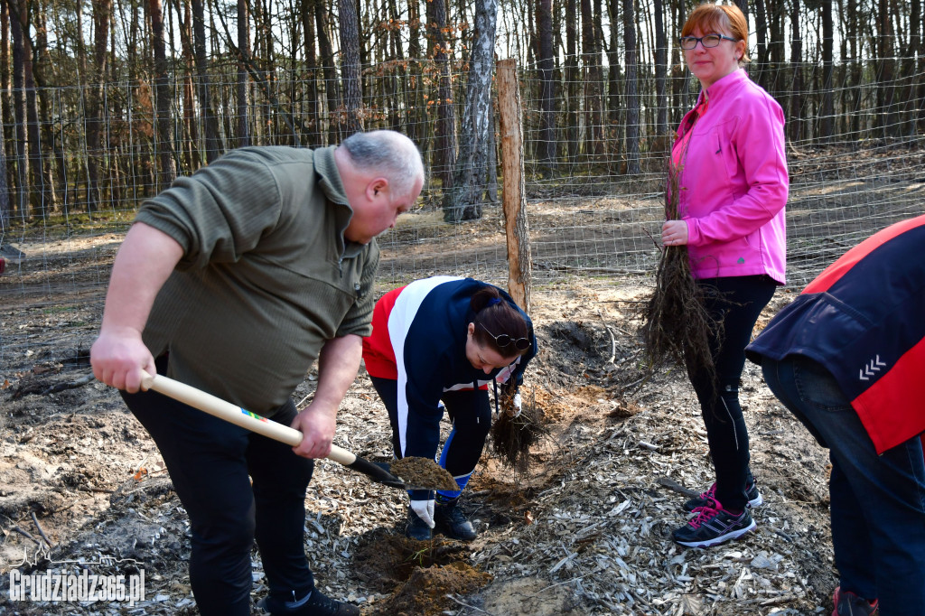 Grudziądzanie wpólne sadzą las- akcja CEE