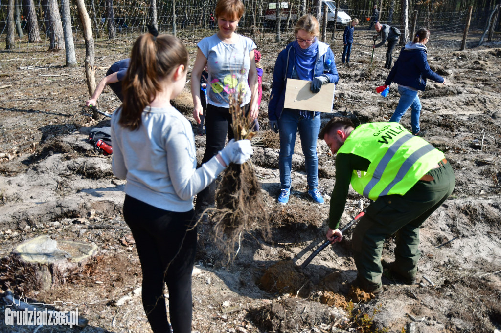 Grudziądzanie wpólne sadzą las- akcja CEE