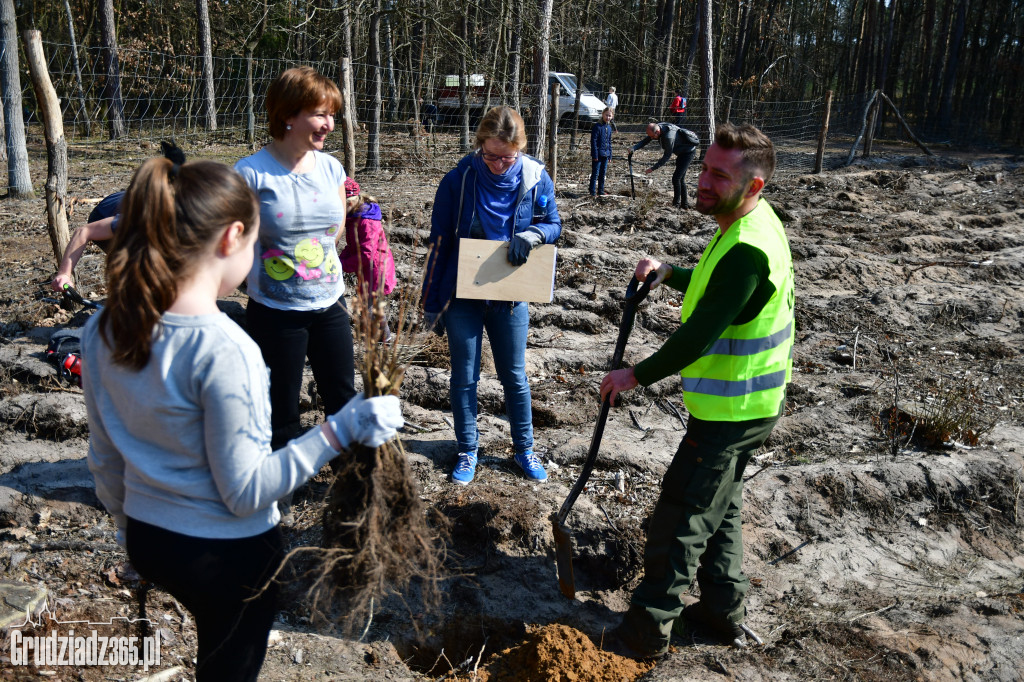 Grudziądzanie wpólne sadzą las- akcja CEE