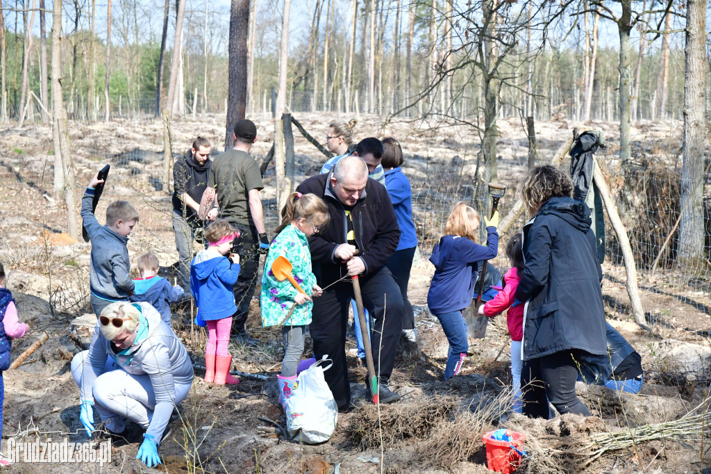 Grudziądzanie wpólne sadzą las- akcja CEE
