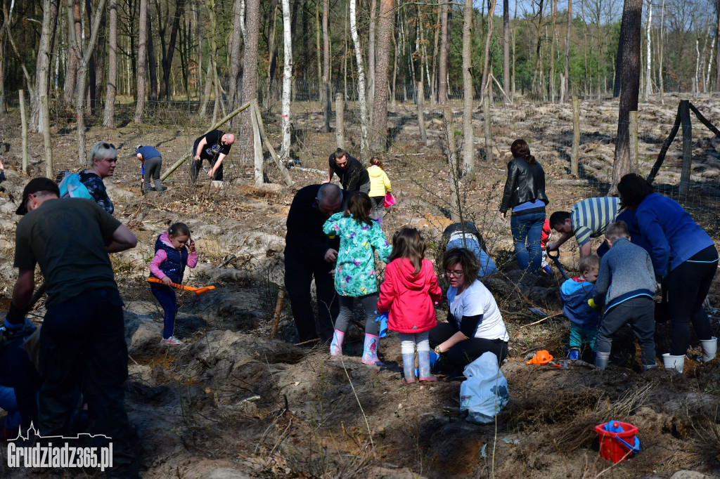 Grudziądzanie wpólne sadzą las- akcja CEE