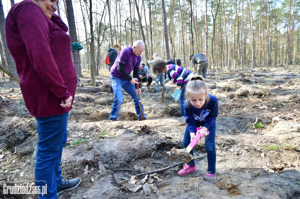Grudziądzanie wpólne sadzą las- akcja CEE