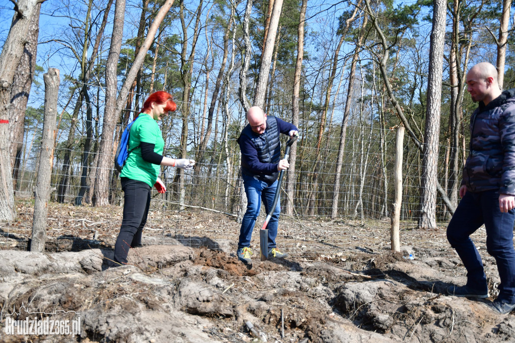 Grudziądzanie wpólne sadzą las- akcja CEE