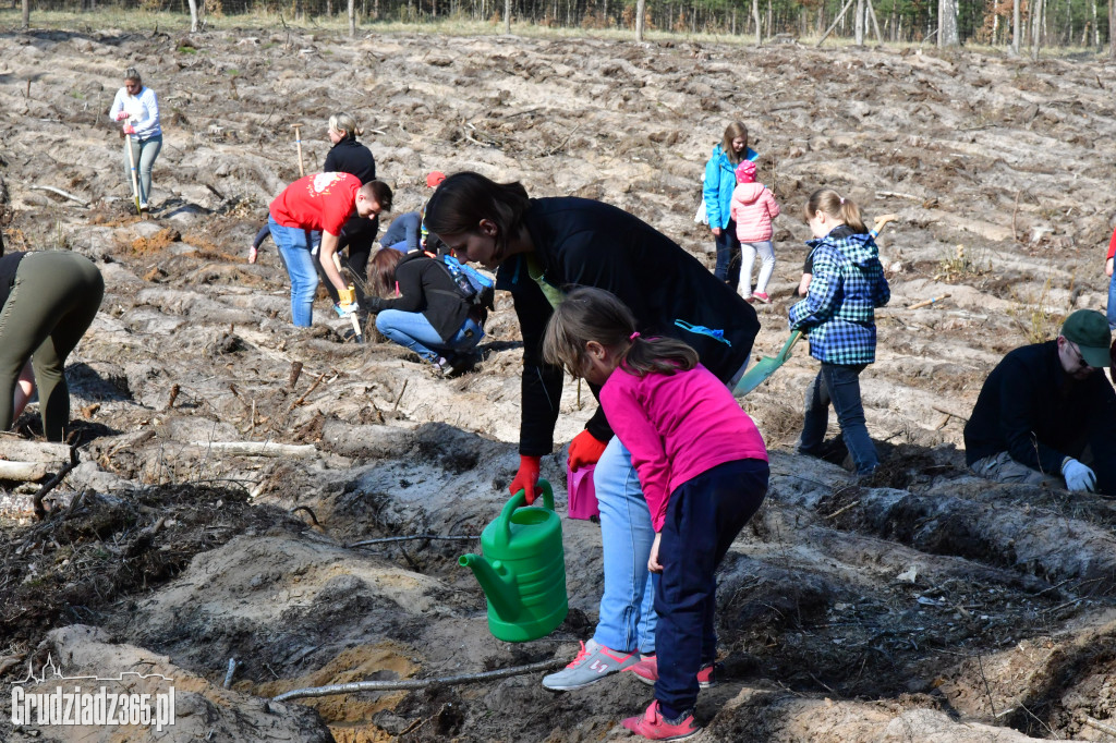 Grudziądzanie wpólne sadzą las- akcja CEE