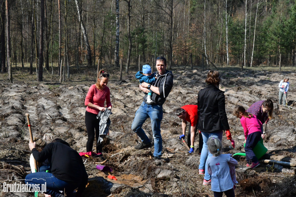 Grudziądzanie wpólne sadzą las- akcja CEE