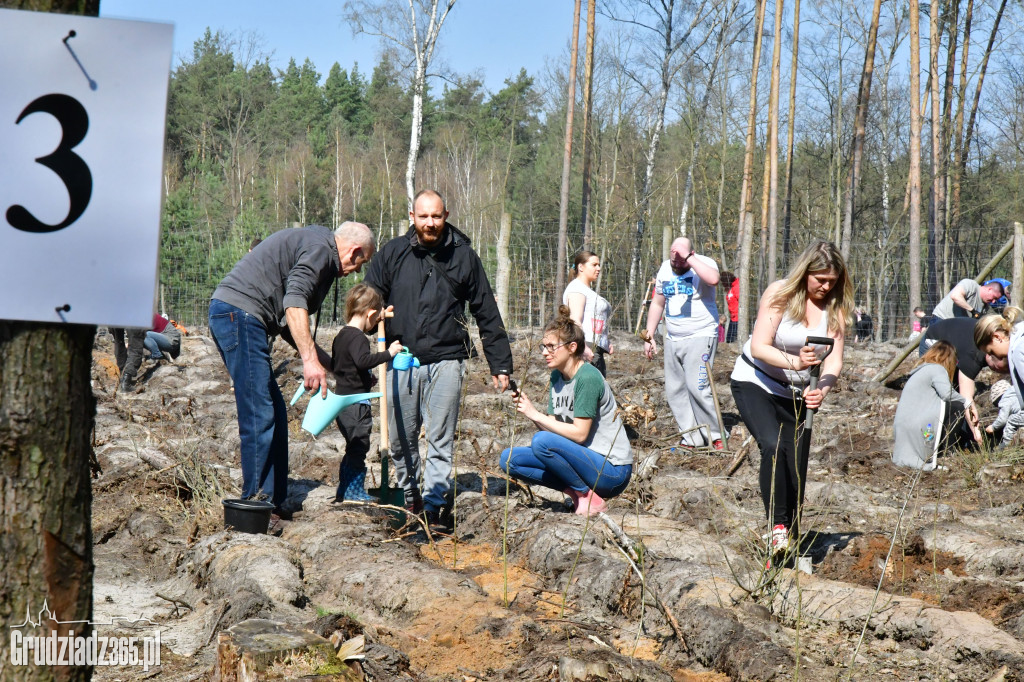 Grudziądzanie wpólne sadzą las- akcja CEE
