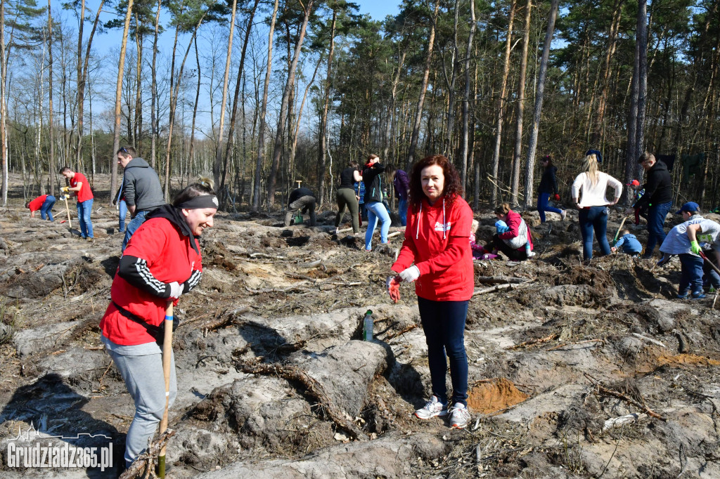 Grudziądzanie wpólne sadzą las- akcja CEE