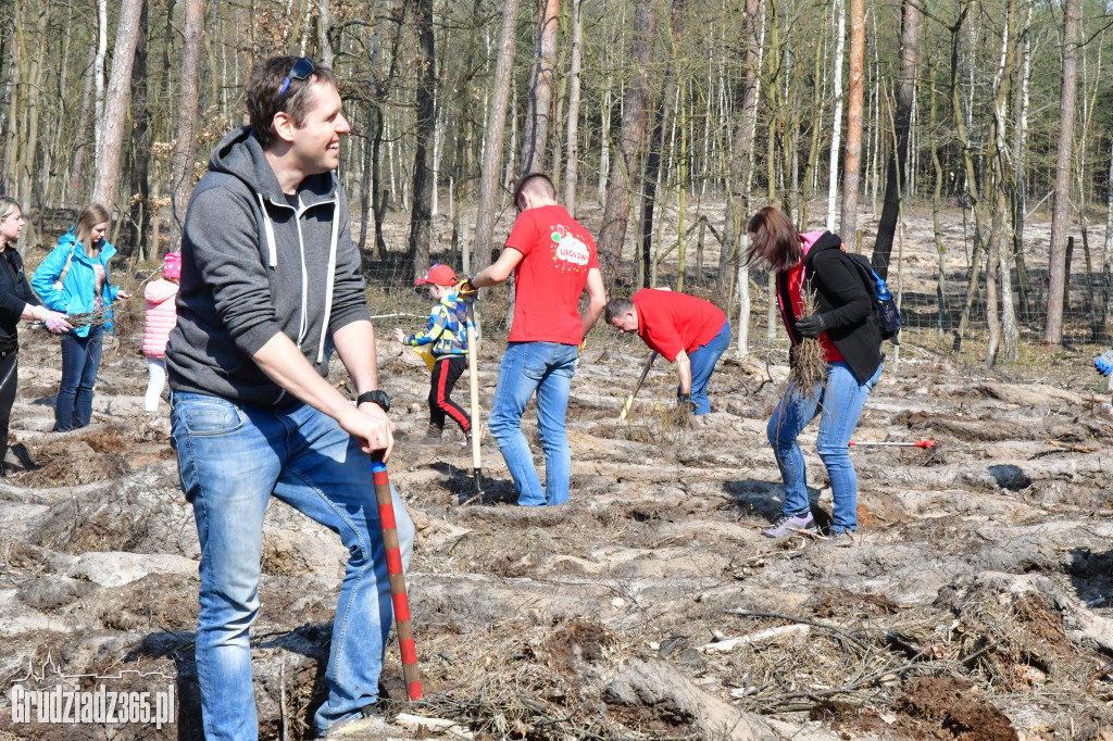 Grudziądzanie wpólne sadzą las- akcja CEE